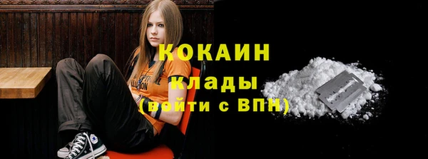 Альфа ПВП Богородск