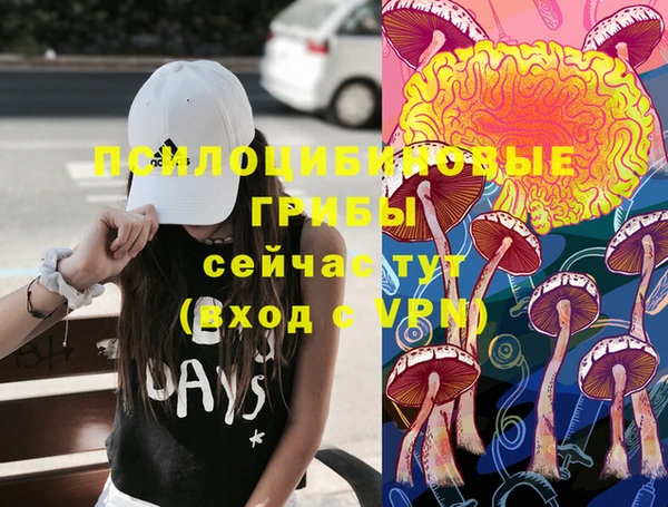 сатива Богданович