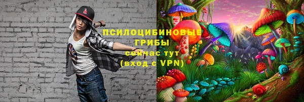 мескалин Богородицк