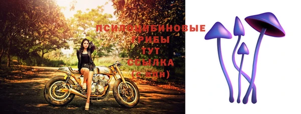 сатива Богданович