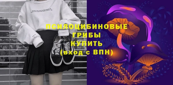 Альфа ПВП Богородск