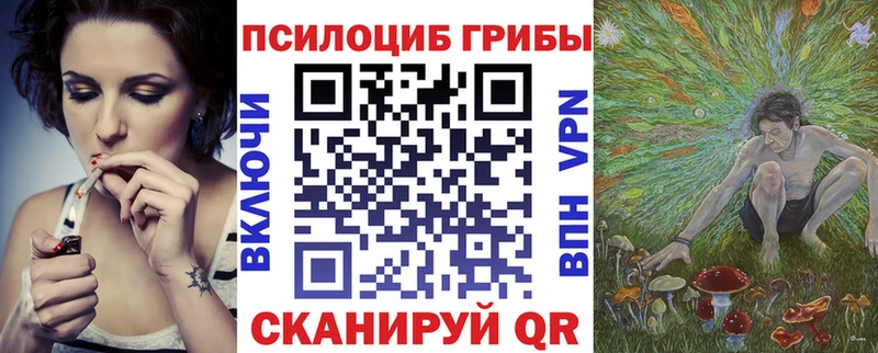 Псилоцибиновые грибы прущие грибы  Заречный 