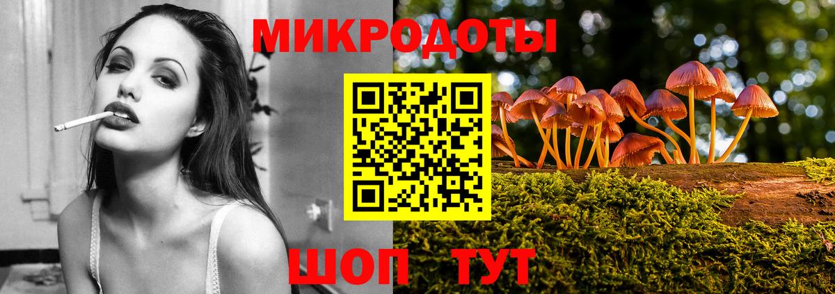 Заречный  Псилоцибиновые грибы MAGIC MUSHROOMS  Вход с VPN 