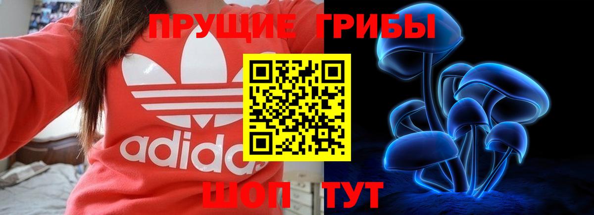 Псилоцибиновые грибы прущие грибы Заречный